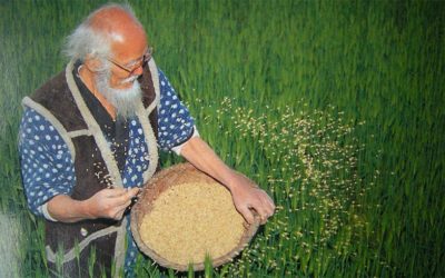 Tamiser l’argile, enrober des graines, respecter la terre.