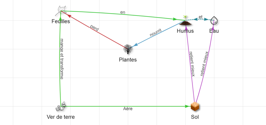 schéma montrant les interactions terre & plantes
