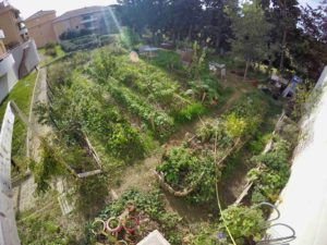 jardin potager résidentiel