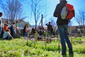 animation en plein air : atelier sur la taille douce des arbres