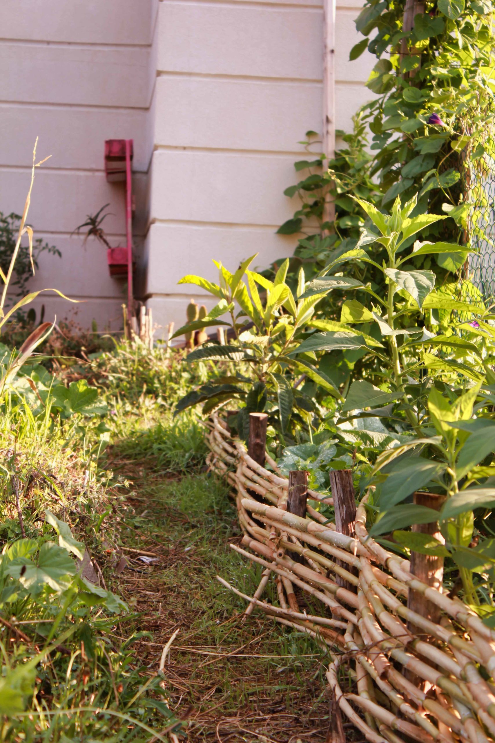 jardin de villamont pourquoi nourrir le sol