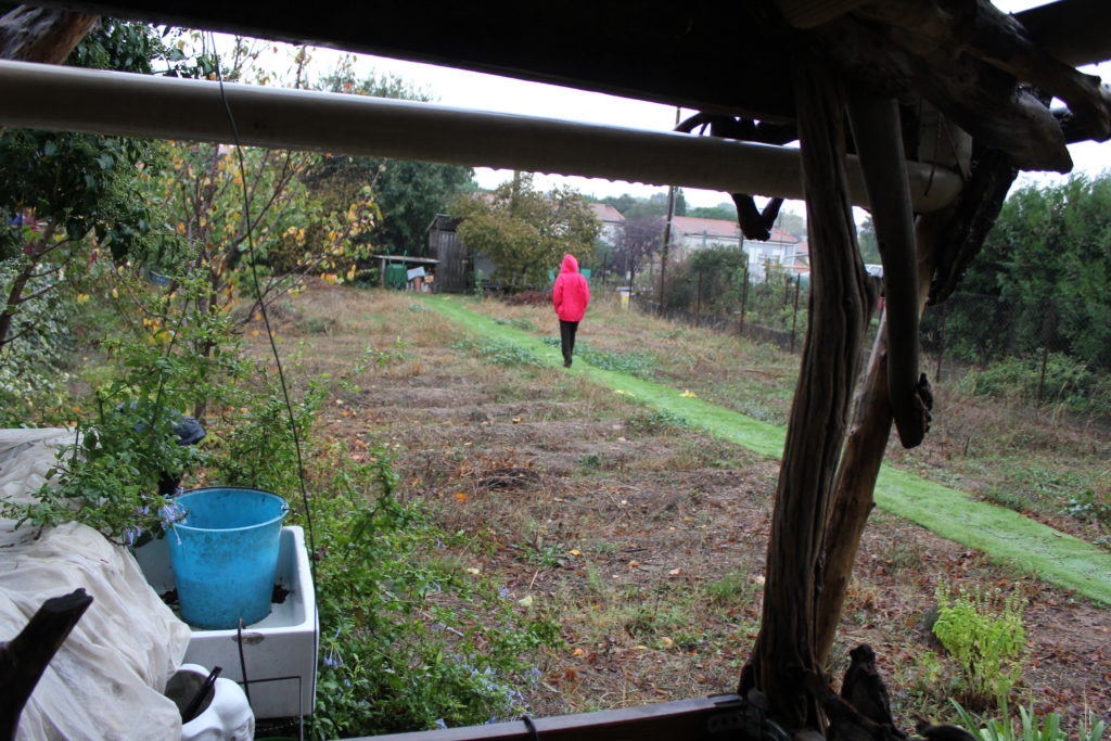 vue sur le jardin d'eric, avant le design et le chantier