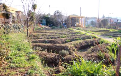 Le jardin d’Eric