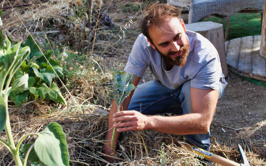 un jardinier plantant un légume avec un sourire en coin, le visage illuminé par le soleil