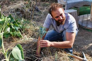 un jardinier plantant un légume avec un sourire en coin, le visage illuminé par le soleil