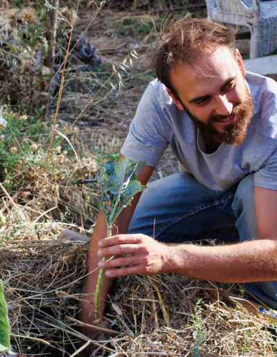 un jardinier plantant un légume avec un sourire en coin, le visage illuminé par le soleil