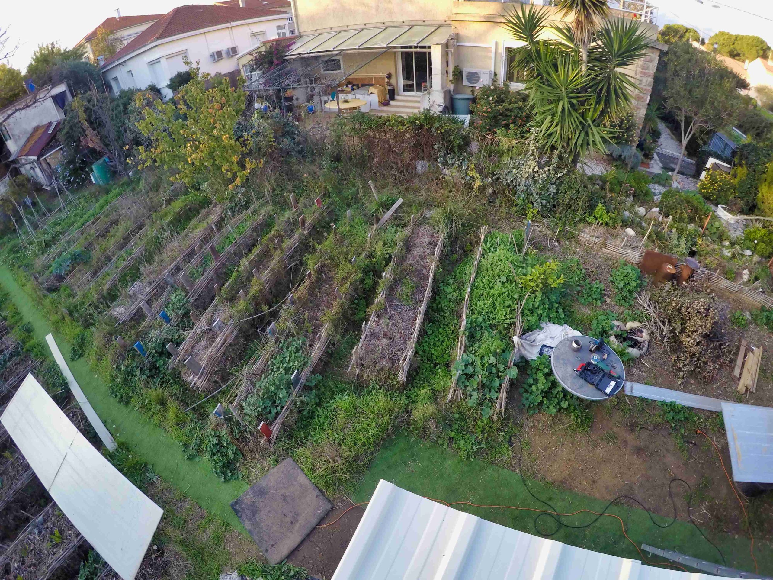 photo prise sur un toit de maison montrant comment le sol des cultures d'un jardin partagé à Béziers sont couvertes