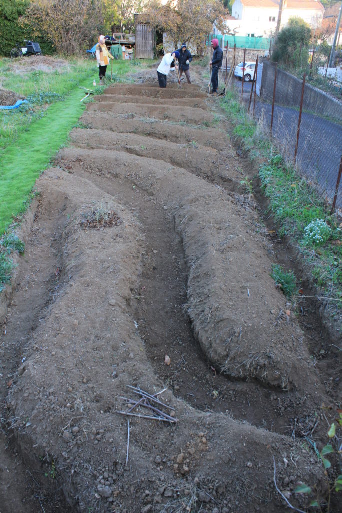 buttes en courbe de niveau keyline avec des jardiniers apprenant cette méthode au jardin partagé d'Eric