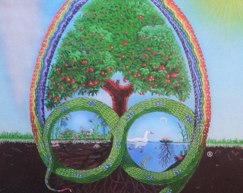 Stage d’initiation à la Permaculture