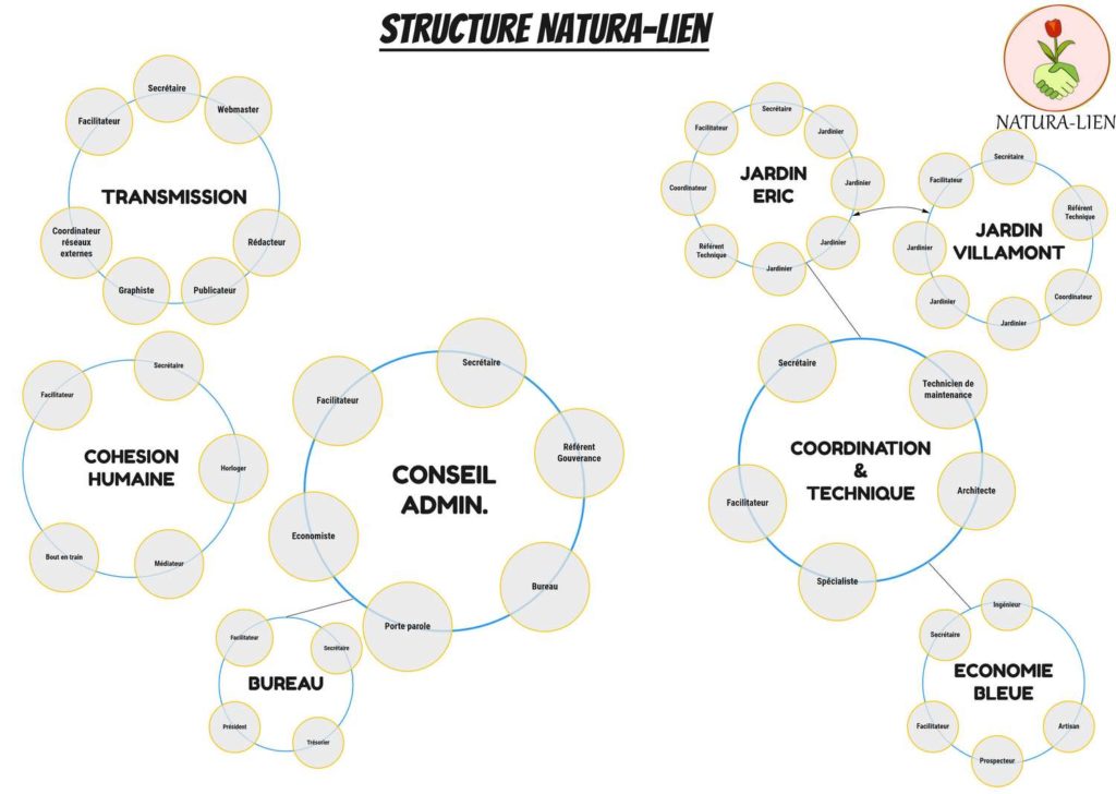 diagramme décrivant la structure de l'organisation de l'association natura-lien en sociocratie