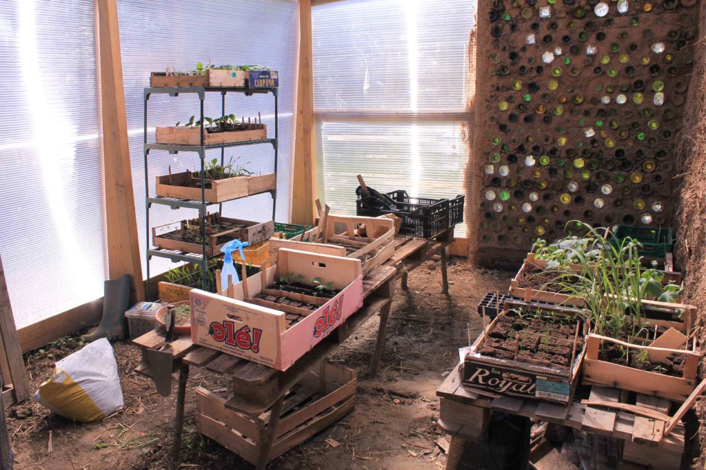 intérieur d'une petite serre bioclimatique avec un mur en bouteilles de verre et des plantes cultivées