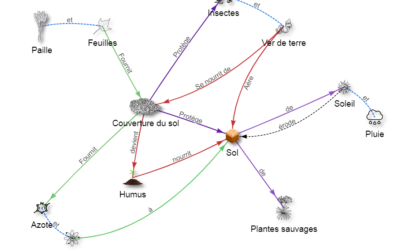 Pourquoi couvrir le sol ?