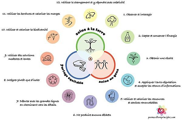 Schéma en couleur des 12 principes de la permaculture par David Holmgren