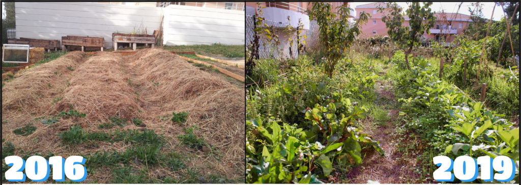 montage photo avant/après du jardin de Villamont en résidence, de 2016 à 2019