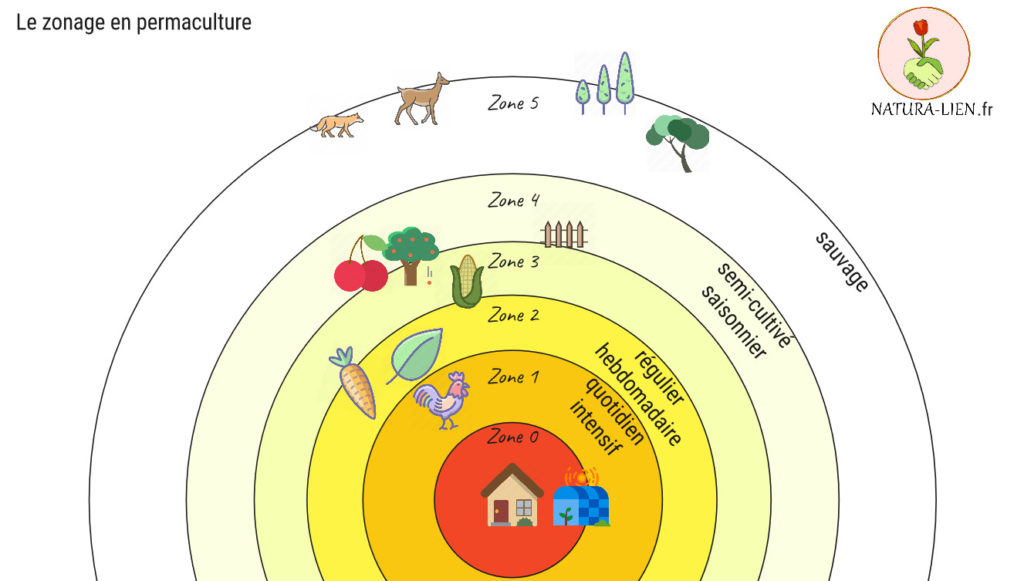 Schéma décrivant Le principe de zonage en permaculture