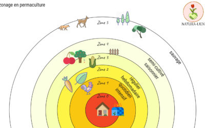 Améliorer l’efficacité au quotidien, avec le zonage – principe de permaculture