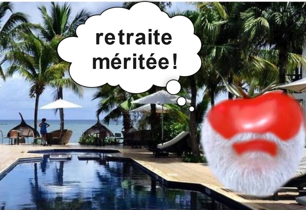 photomontage : une tomate à barbe blanche profite de sa retraite dans les caraïbes au bord d'une piscine