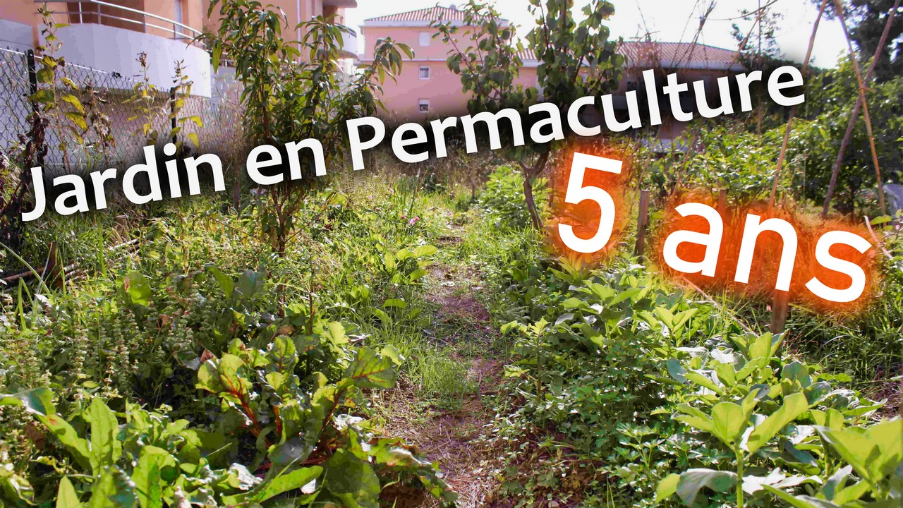 miniature photo mise en avant jardin en permaculture 5 ans