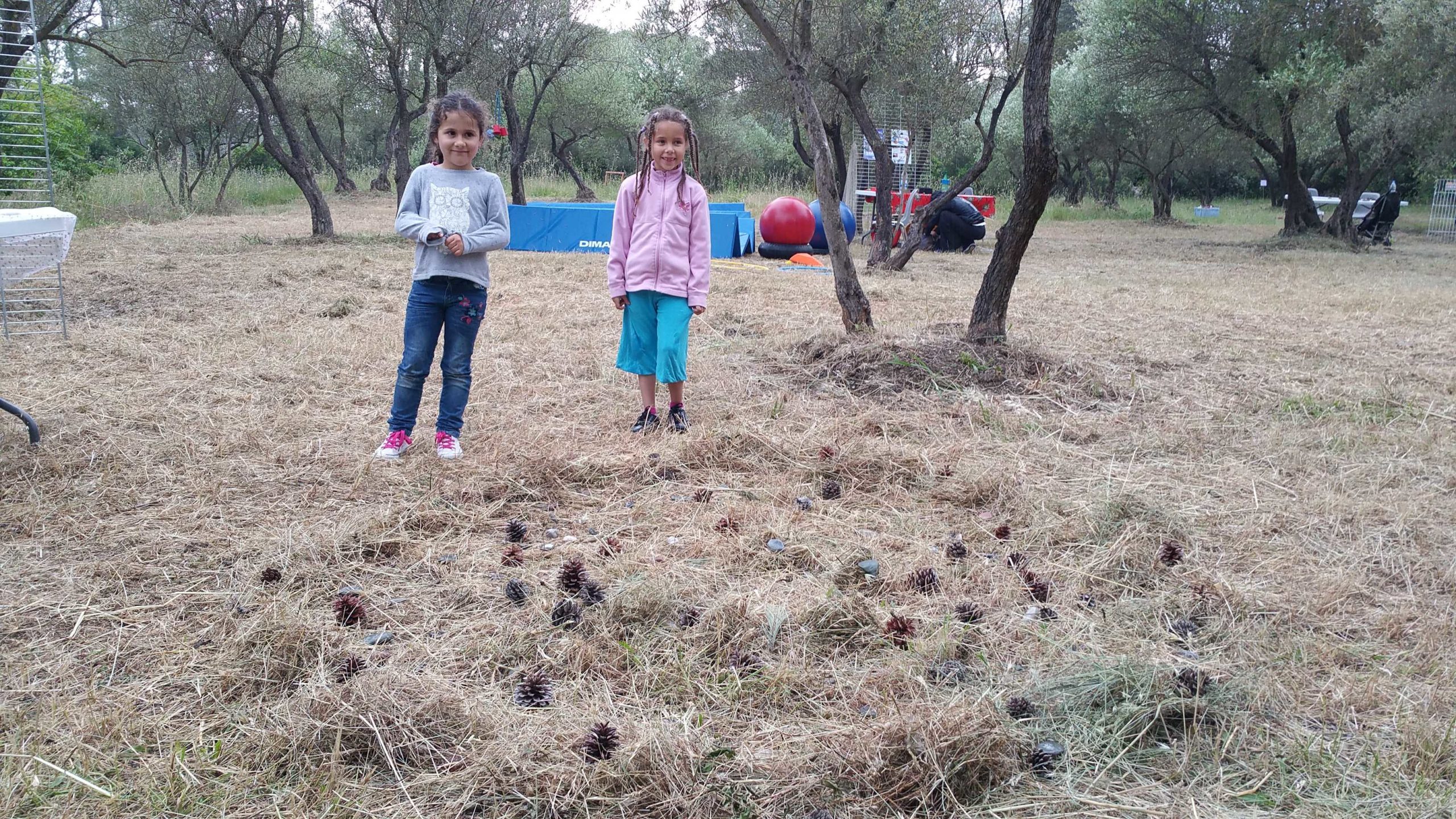 Création d’un mandala collectif avec la nature