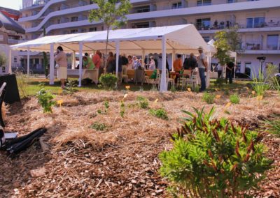 jardin potager en résidence senior