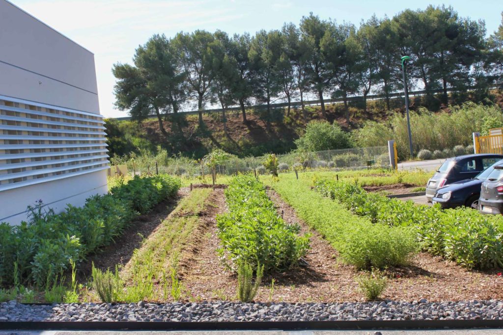 vue sur des jardins conduits de manière très organisée