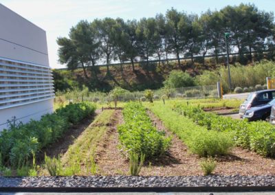 vue sur des jardins conduits de manière très organisée