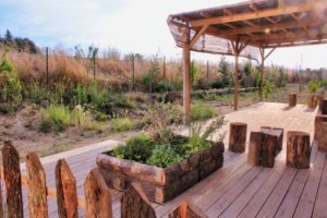Réalisation de jardin potager d'entreprise par cultures d'avenir