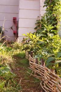 concrétisation d'un design en permaculture