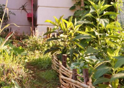 concrétisation d'un design en permaculture