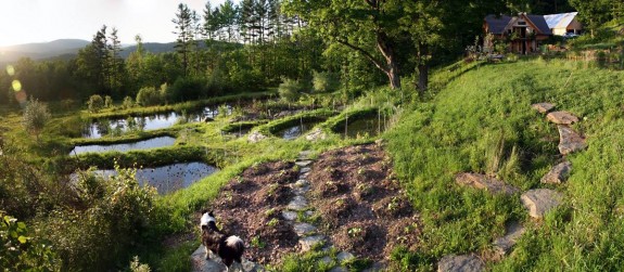 Photo de "Whole Systems Research Farm" montrant un écosystème agricole diversifié, présentant des cultures, arbres, forêts, mares communiquant entre elles.