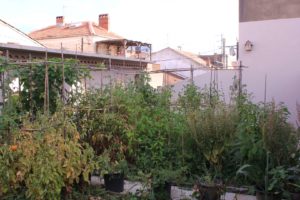 jardin en toiture d'entreprise à béziers