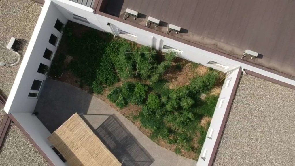 vue en drône d'un jardin mandala dans le patio d'une entreprise