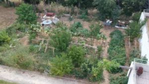 vue en drone d'un jardin partagé en résidence