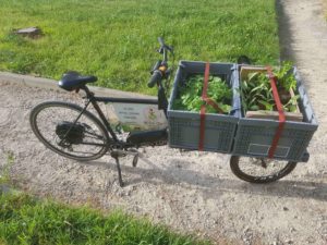 plantation en potager d'entreprise par vélo cargo