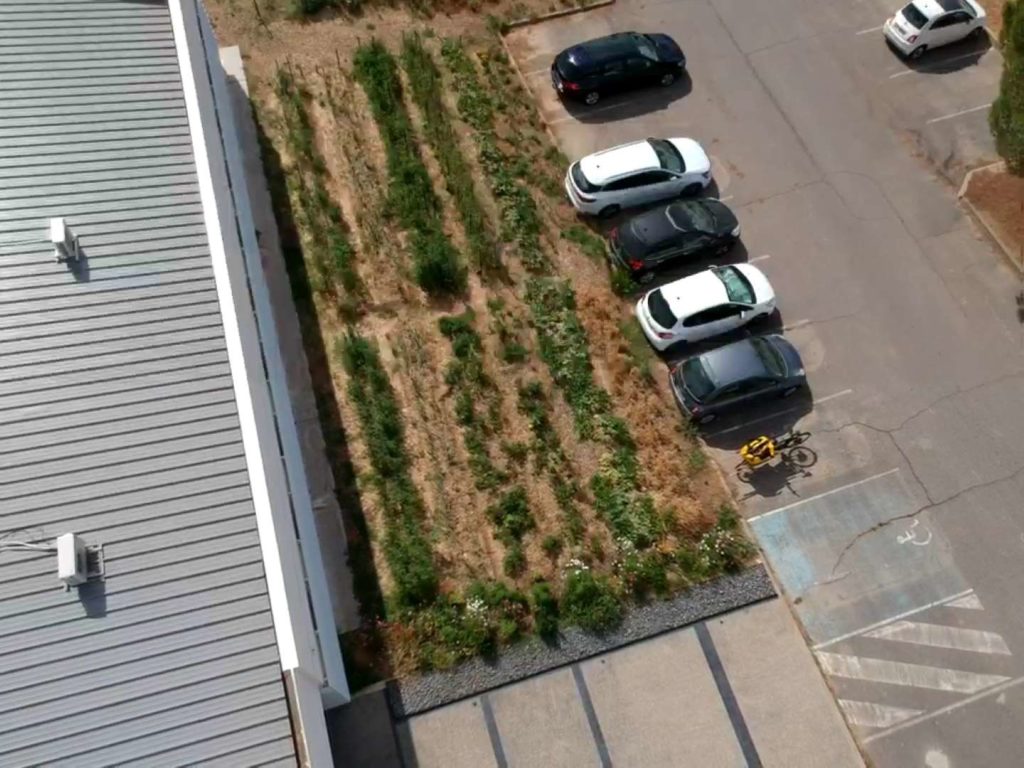 vue en drone d'un jardin potager d'entreprise