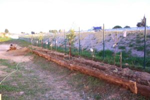 coffrage en dosse facilitant la tenue d'une haie fruitière multi-étagée dans le potager d'entreprise