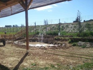 installation d'une petite fontaine pour la mare du potager d'entreprise