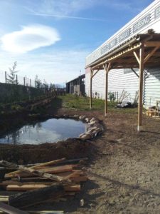 photo de la mare en cours de finition, avec l'abri terminé et les arbres plantés dans le potager d'entreprise