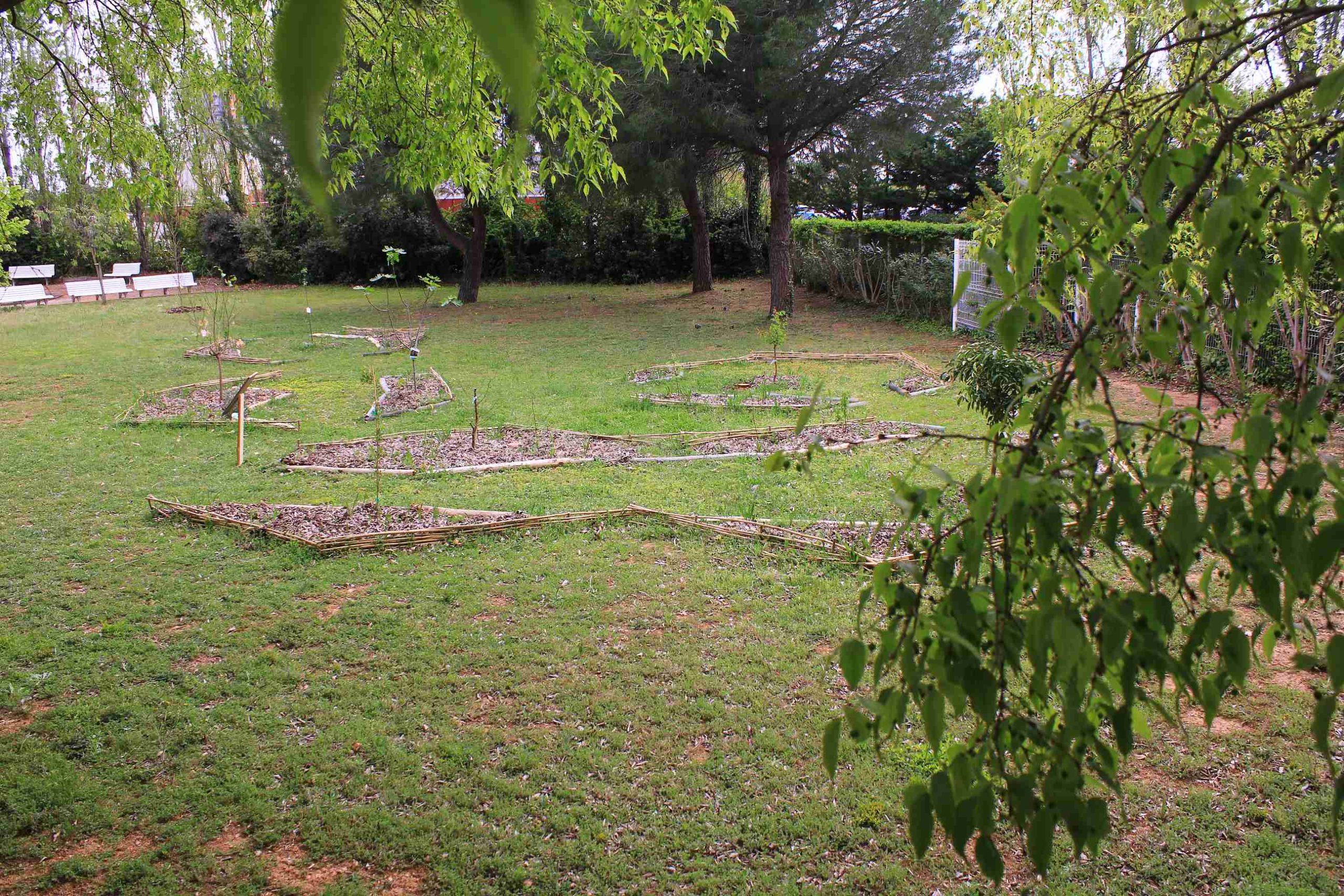 jardin nourricier en EHPAD au moment de son implantation