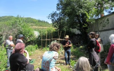 Histoire d’un stage d’initiation à la permaculture