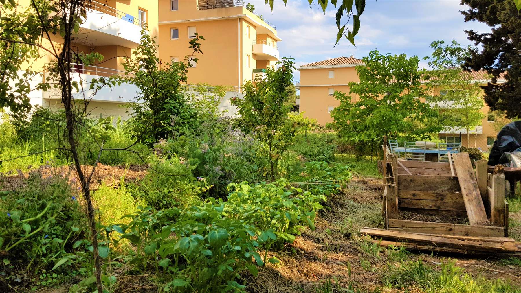 vue large du jardin de villamont, avec de nombreux arbres surplombant les cultures