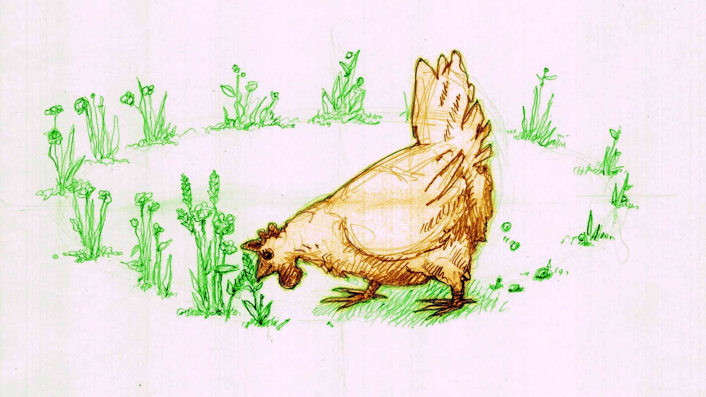 dessin d'une poule consommant en boucle des plantes tirées d'un jardin, qu'elle défèque sous forme d'engrais pour ce dernier. Un bon exemple d'emplacements relatifs.