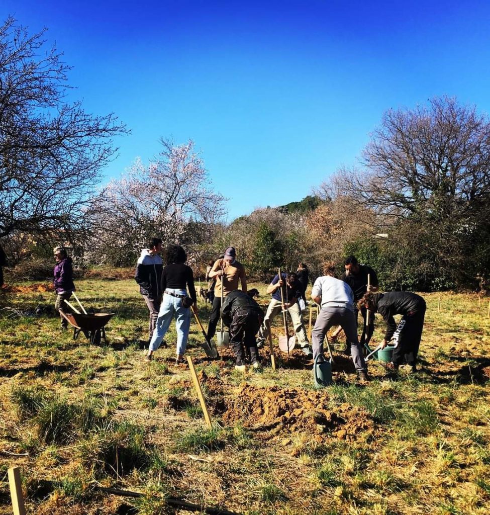 Des bénévoles plantant des arbres et arbustes à l'oasis de béziers