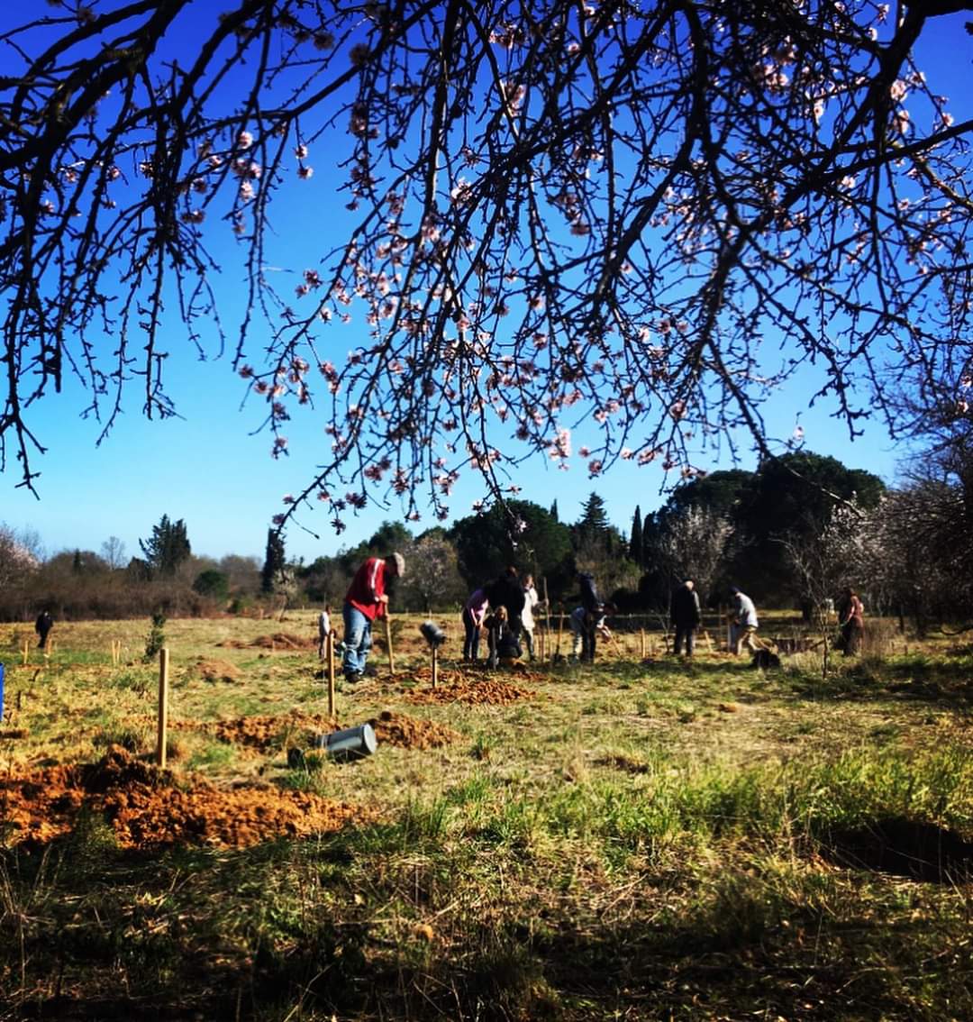un groupe de personnes plantant des arbres sur le terrain de l'oasis de béziers