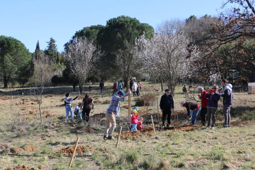 un groupe de personnes plantant des arbres sur le terrain de l'oasis de béziers