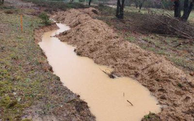 Récolter l’eau pour faire pousser des Oasis