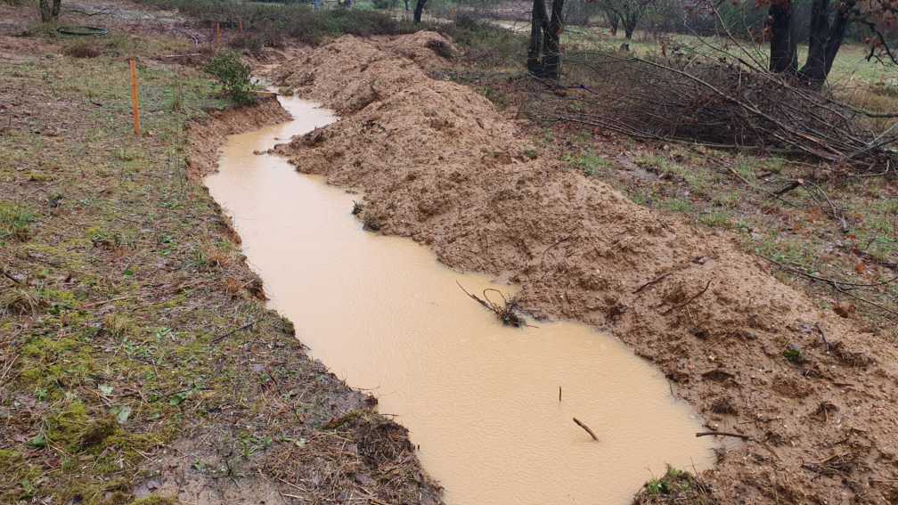 baissière pour la gestion de l'eau en permaculture