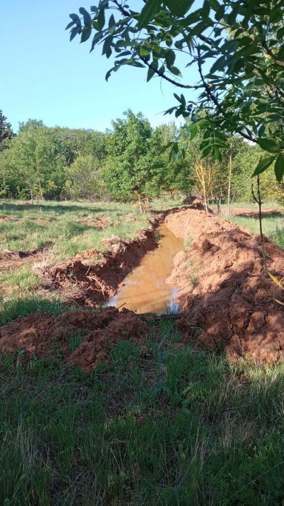 photo d'une baissière (en courbe de niveau) remplie après une pluie