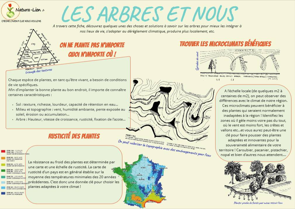 fiche pédagogique "les arbres et nous"