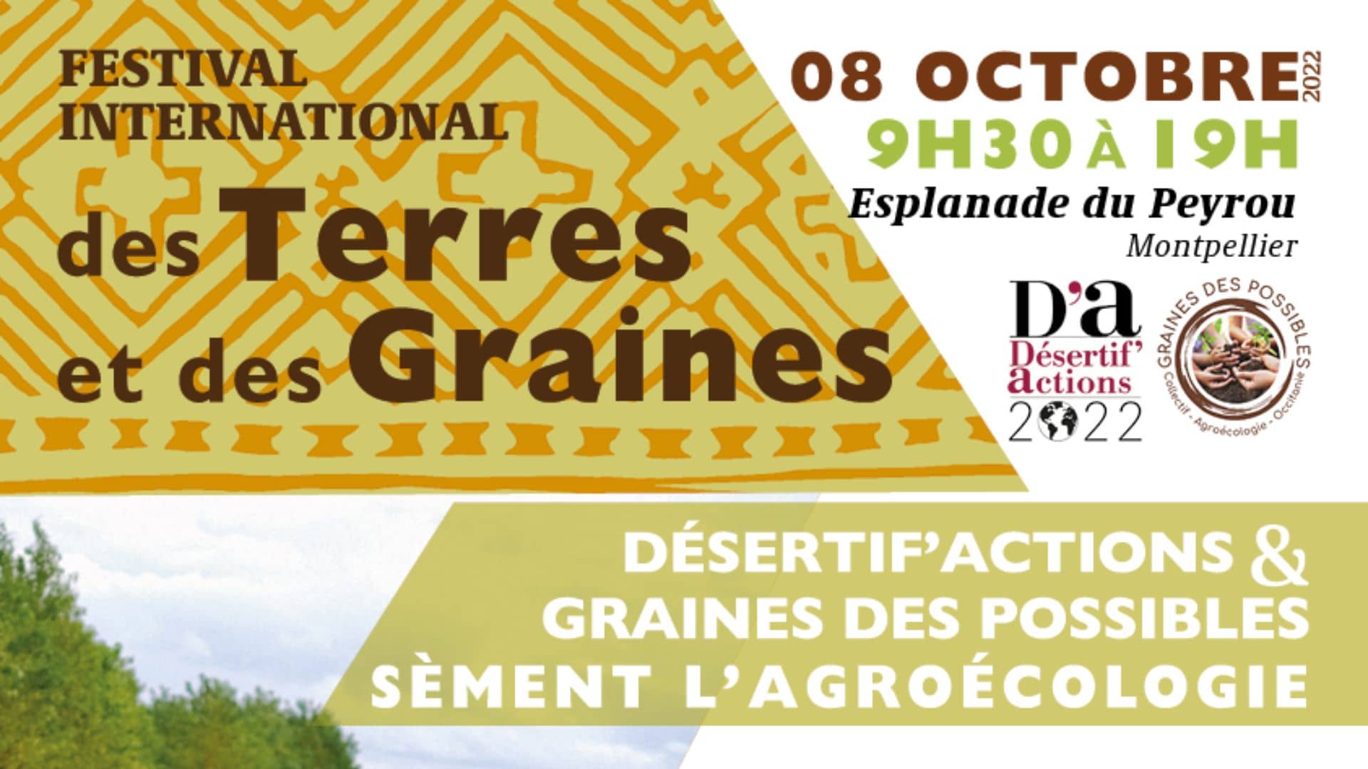 affiche du Festival
